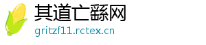 其道亡繇网